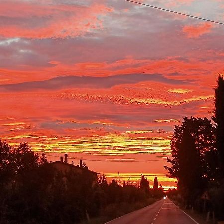 Вилла Agriturismo Il Cipresso Вада Экстерьер фото