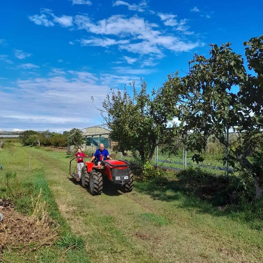 Вилла Agriturismo Il Cipresso Вада Экстерьер фото