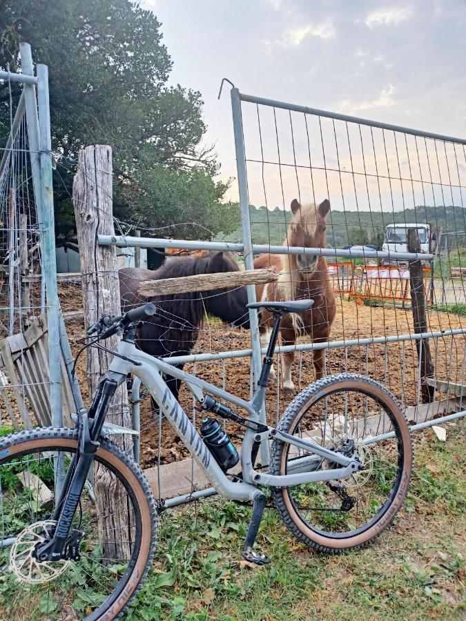 Вилла Agriturismo Il Cipresso Вада Экстерьер фото