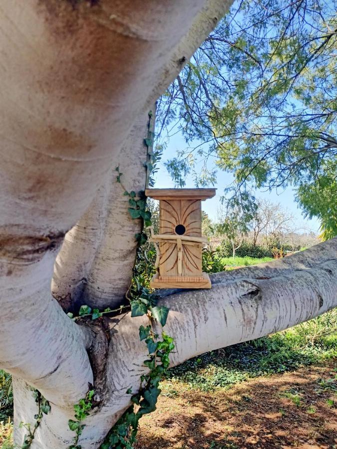 Вилла Agriturismo Il Cipresso Вада Экстерьер фото