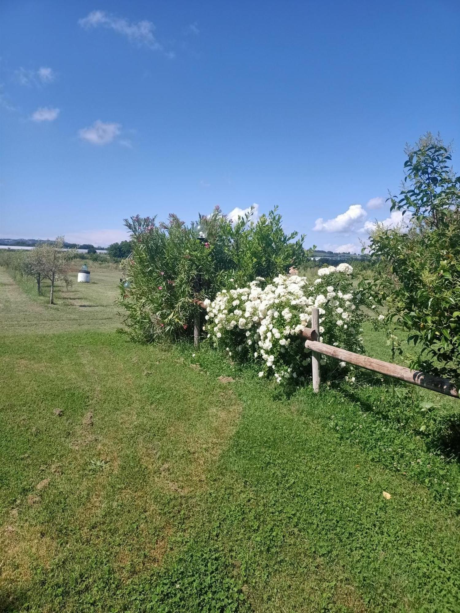 Agriturismo Il Cipresso Вада Экстерьер фото