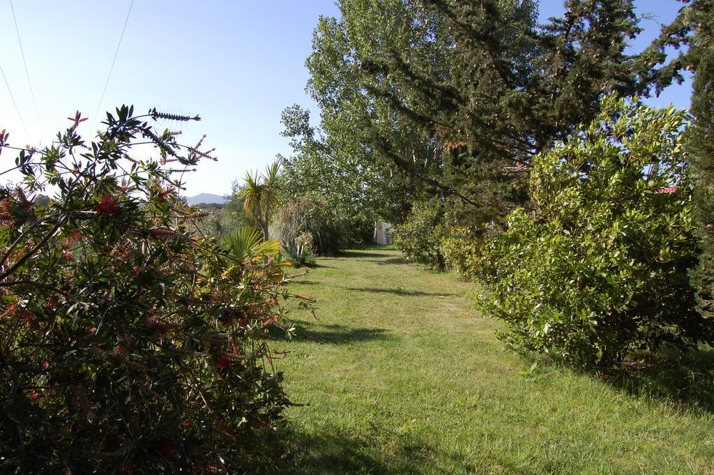Agriturismo Il Cipresso Вада Экстерьер фото